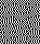 Gossip's Web in 2017